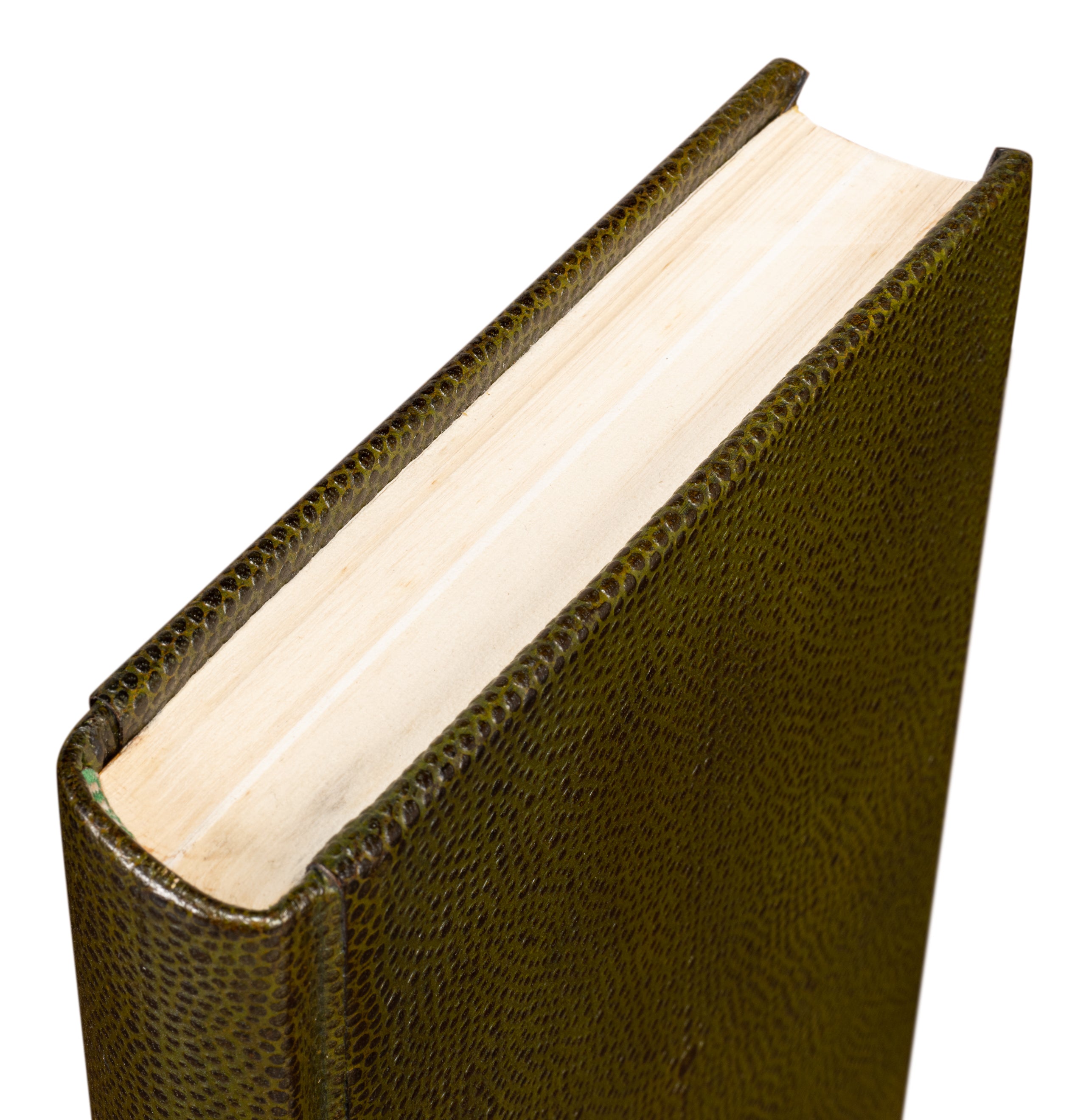 Shagreen Book Set of 12 in Olive Green with Embossed Spines - view 9