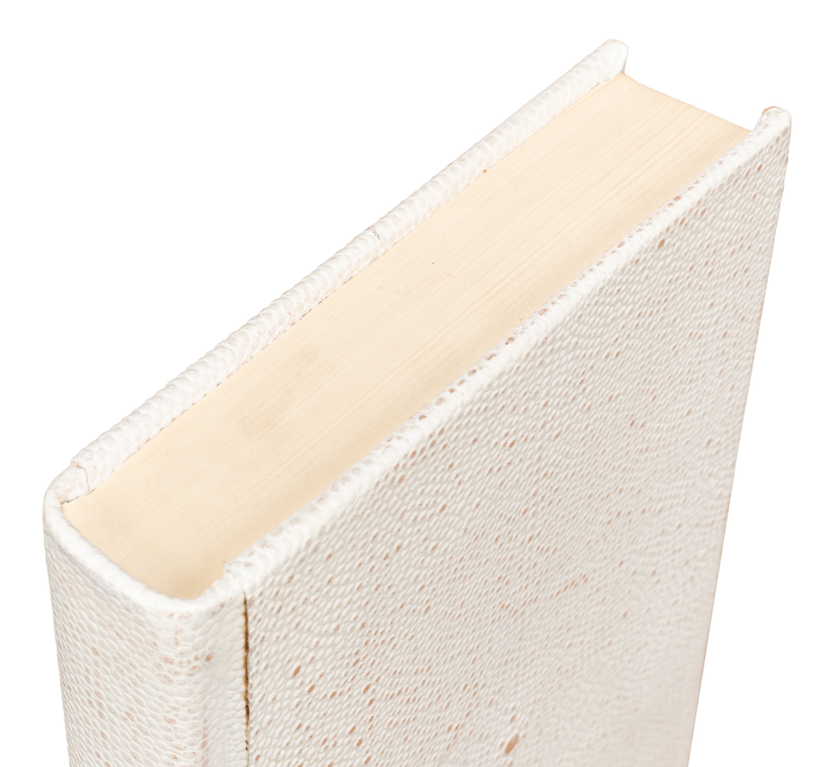 Ivory Book Set in Shagreen-Embossed Leather, Set of 12 - view 9