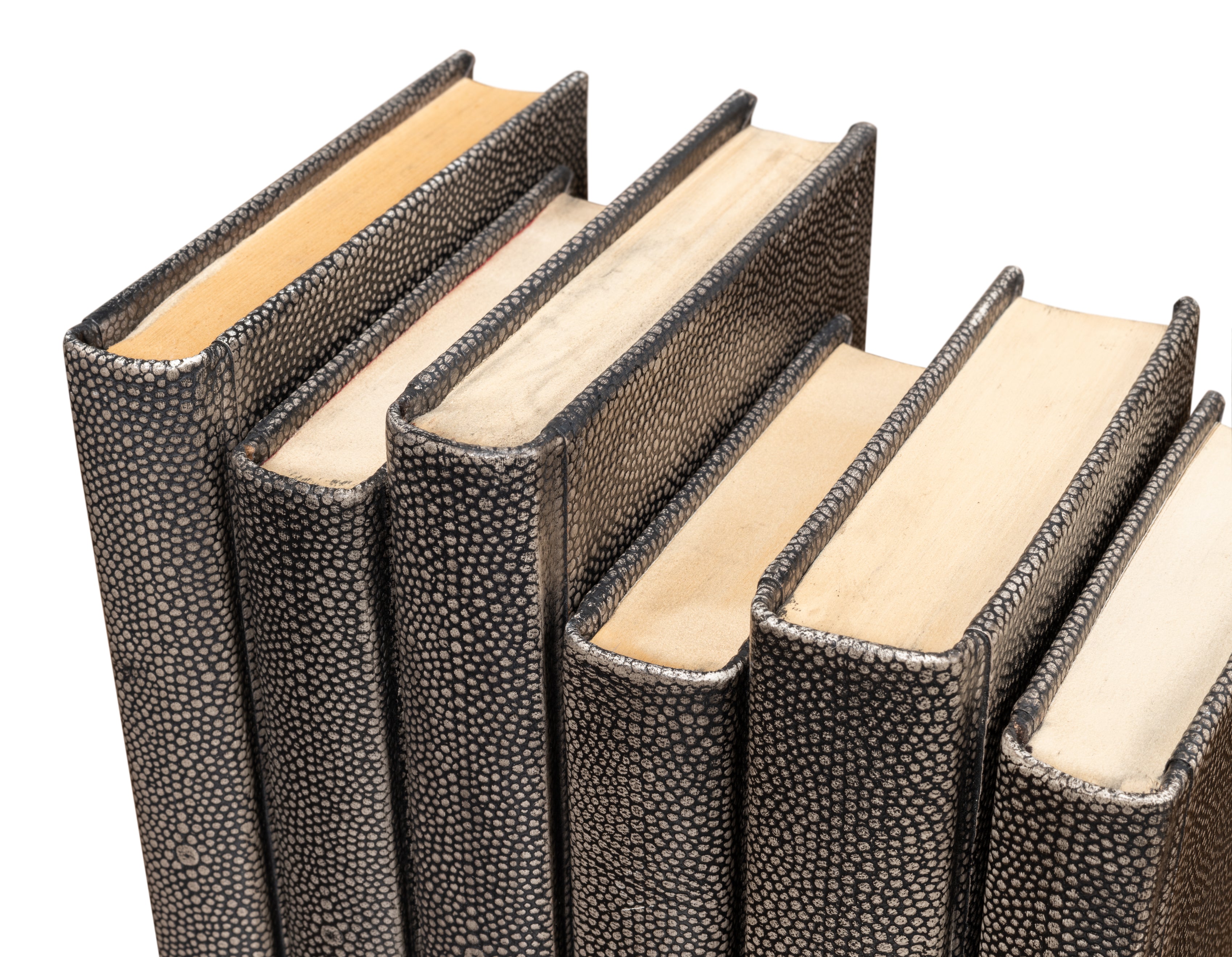 Shagreen Embossed Gray Book Set in Leather, Set of 12 - view 8