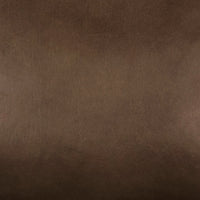Truffle Brown leather upholstery close-up showing grain and tonal variation