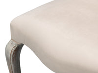 Louis XV Dining Chairs in Cream with Silvered Legs, Sets of 2 - view 10