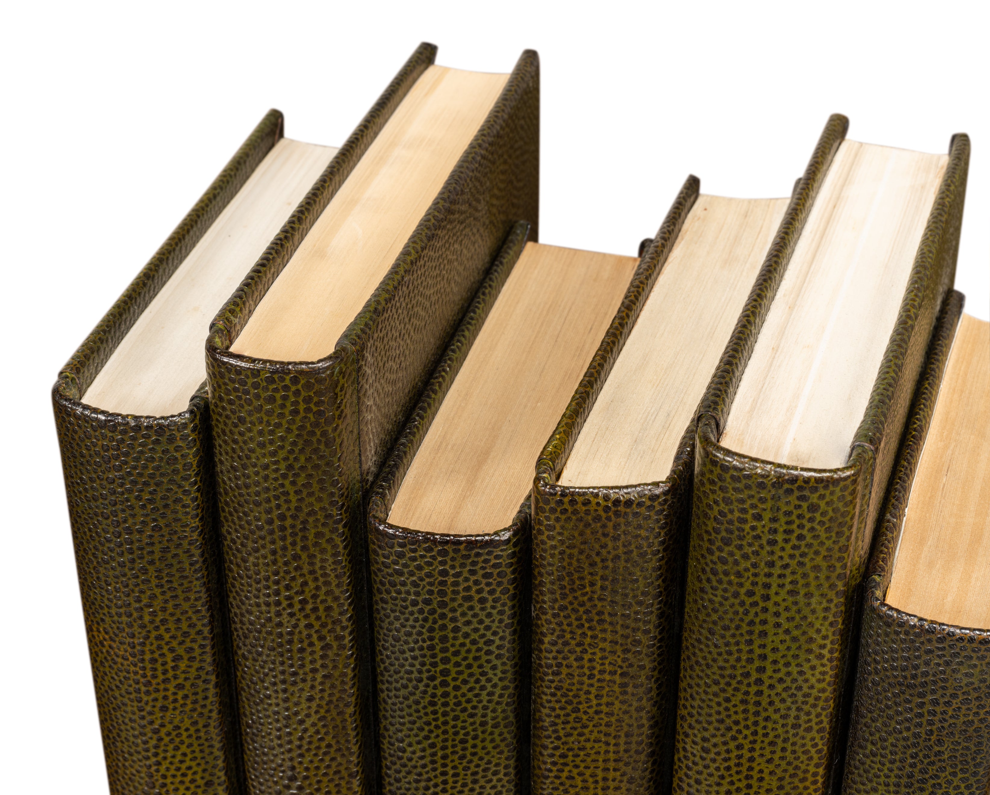Shagreen Book Set of 12 in Olive Green with Embossed Spines - view 8