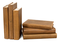 Shagreen Embossed Tan Book Set in Tawny Brown, Set of 12 - view 6