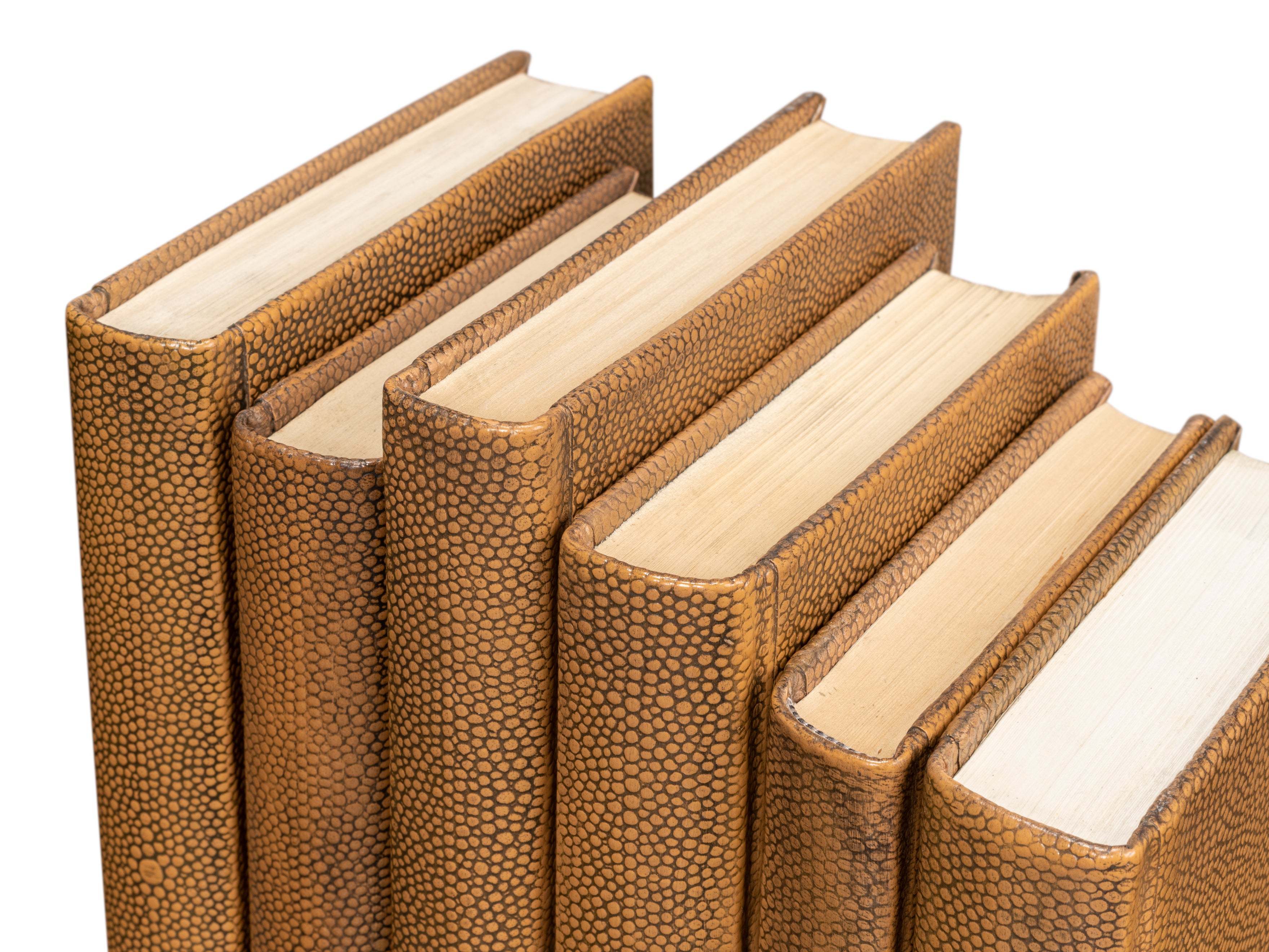 Shagreen Embossed Tan Book Set in Tawny Brown, Set of 12 - view 8