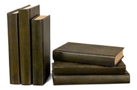 Shagreen Book Set of 12 in Olive Green with Embossed Spines - view 6