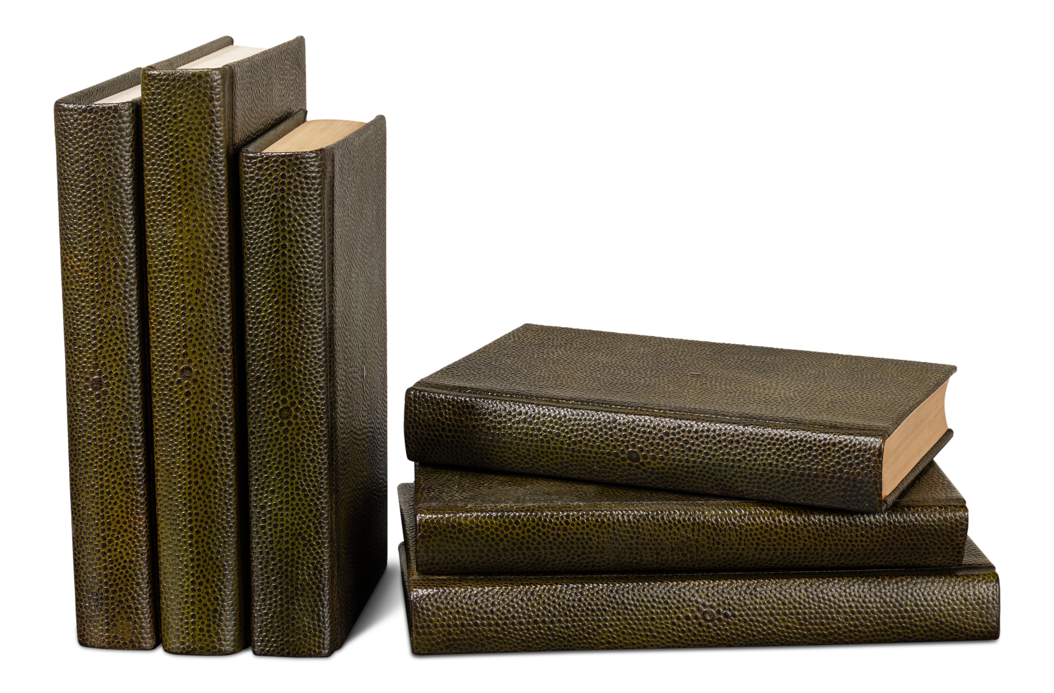 Shagreen Book Set of 12 in Olive Green with Embossed Spines - view 6