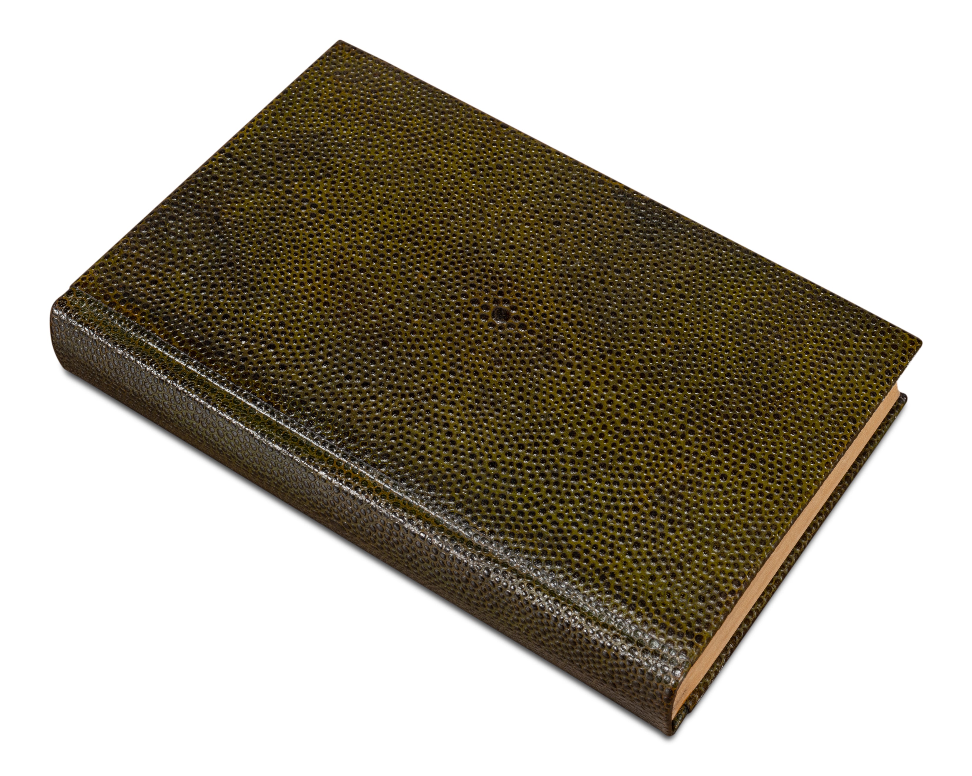 Shagreen Book Set of 12 in Olive Green with Embossed Spines - view 7
