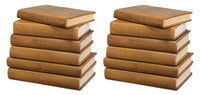 Shagreen Embossed Tan Book Set in Tawny Brown, Set of 12