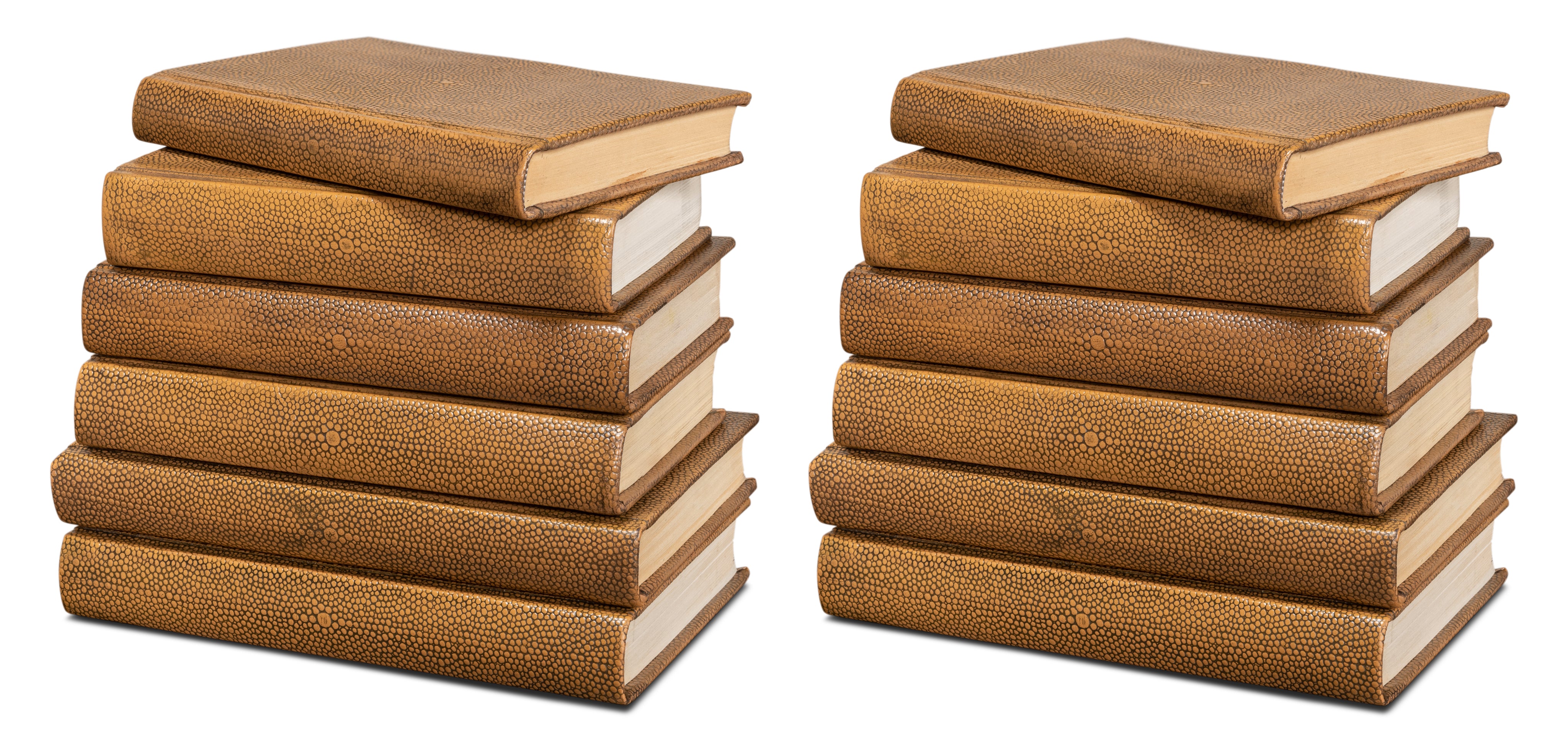 Shagreen Embossed Tan Book Set in Tawny Brown, Set of 12