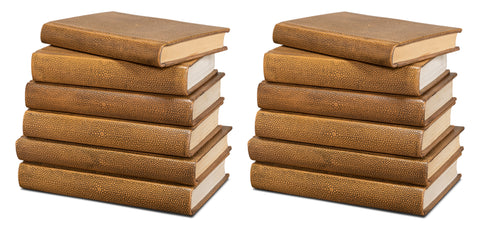 Shagreen Embossed Tan Book Set in Tawny Brown, Set of 12