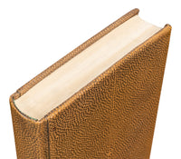 Shagreen Embossed Tan Book Set in Tawny Brown, Set of 12 - view 9