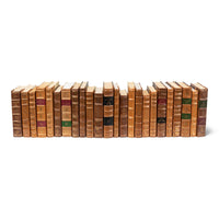 Decorative Library Books, Tan Leather & Marbled, Set of 24