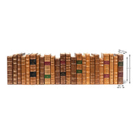 Decorative Library Books, Tan Leather & Marbled, Set of 24
