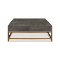 Rear view of leather coffee table, metal frame.