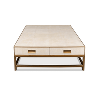 Full view of leather coffee table with brass accents.