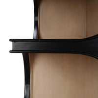 Close-up of bookcase shelf detail, black and wood.
