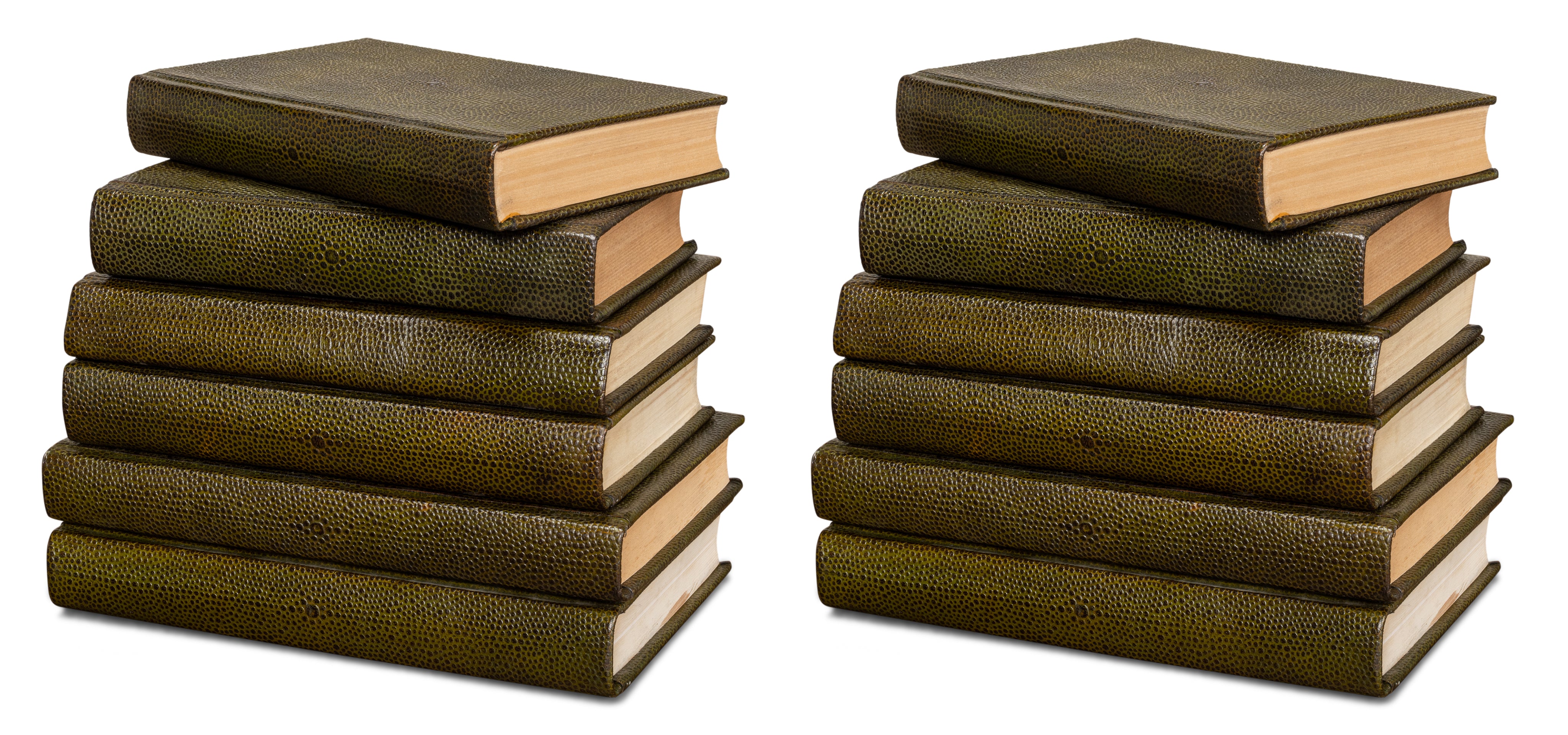 Shagreen Book Set of 12 in Olive Green with Embossed Spines