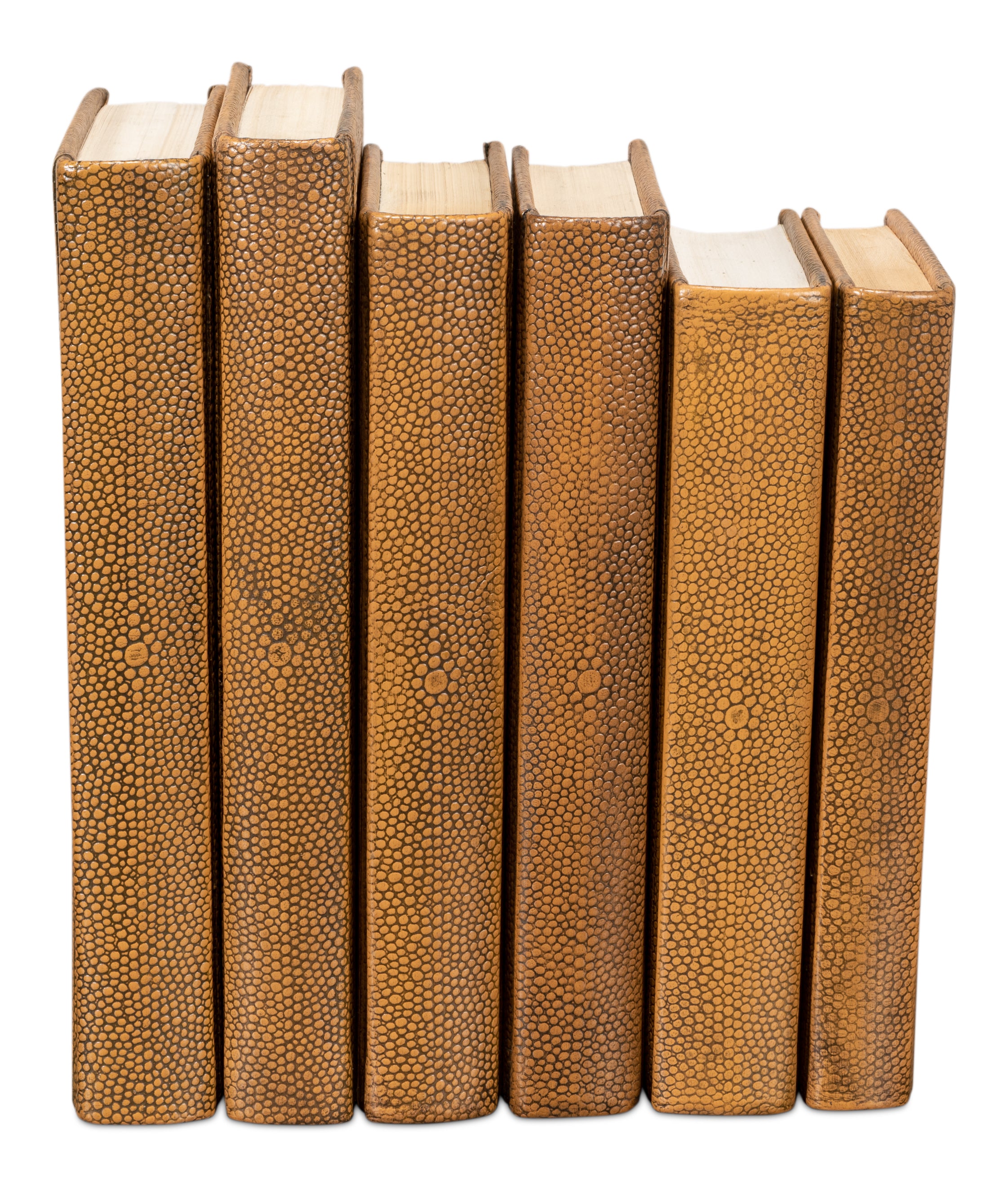 Shagreen Embossed Tan Book Set in Tawny Brown, Set of 12 - view 3