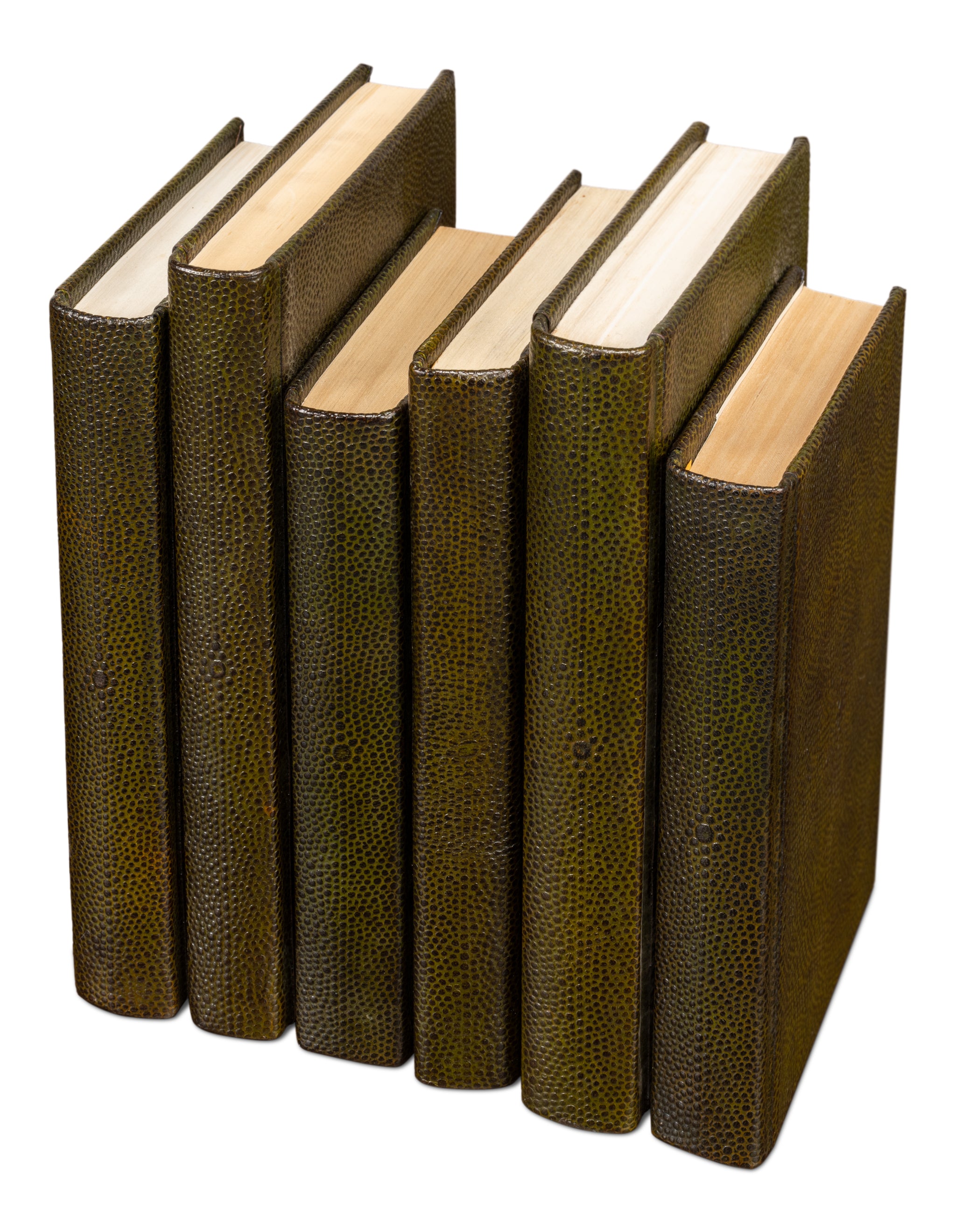 Shagreen Book Set of 12 in Olive Green with Embossed Spines - view 5