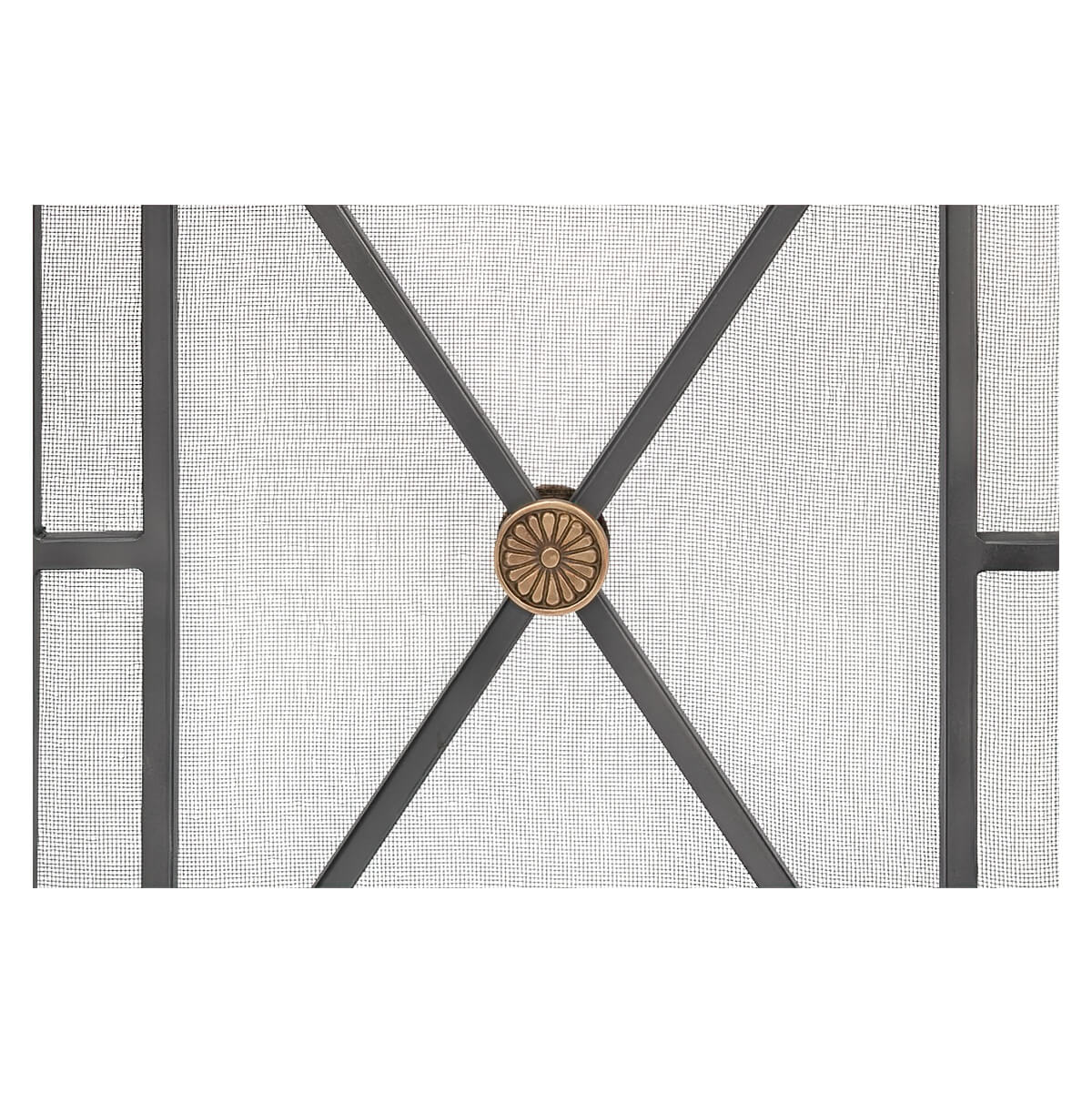 Close-up, French Directoire style fireplace screen medallion.