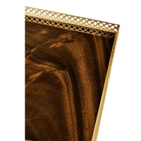 Detailed view of French Louis XVI console table texture.