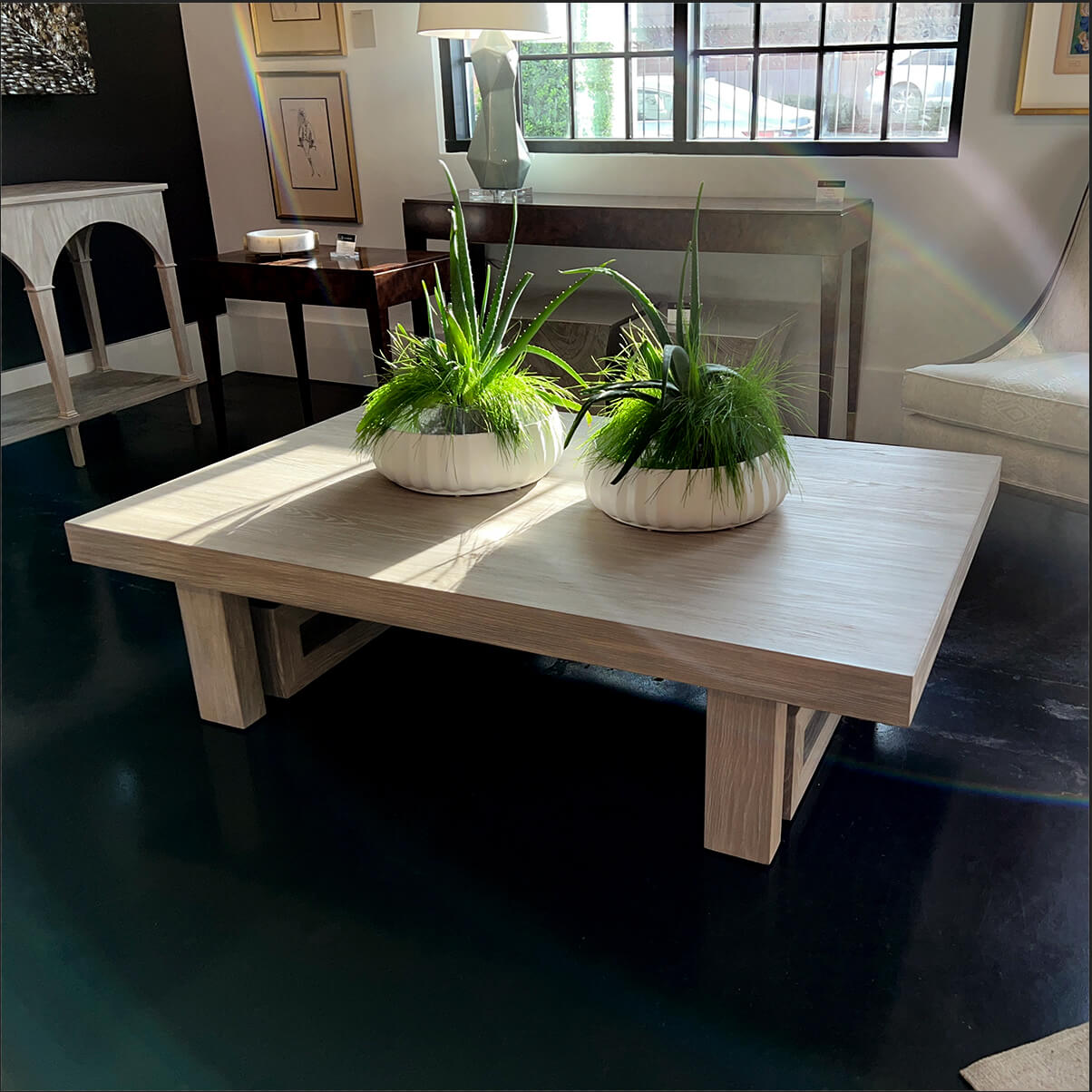 Sunlit room with coffee table, two plants on top