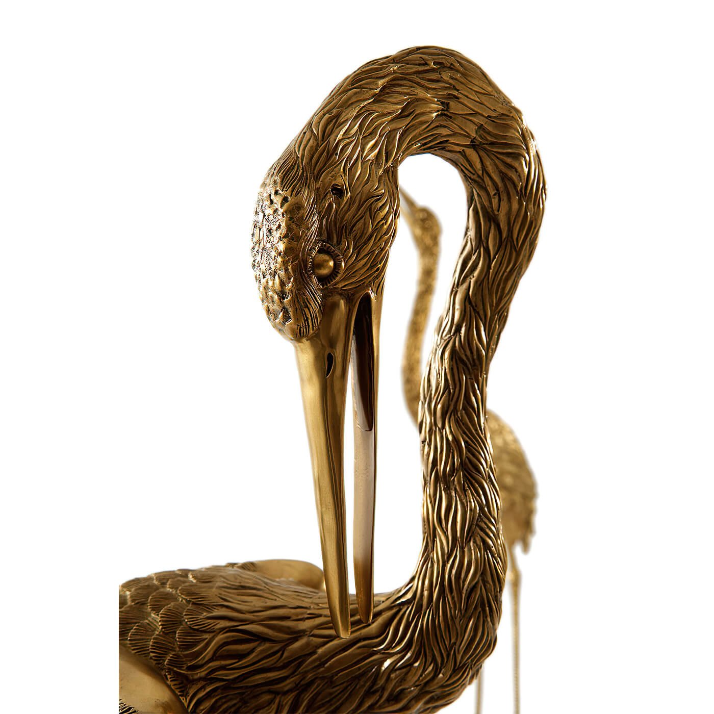 Detailed view of crane head and neck.