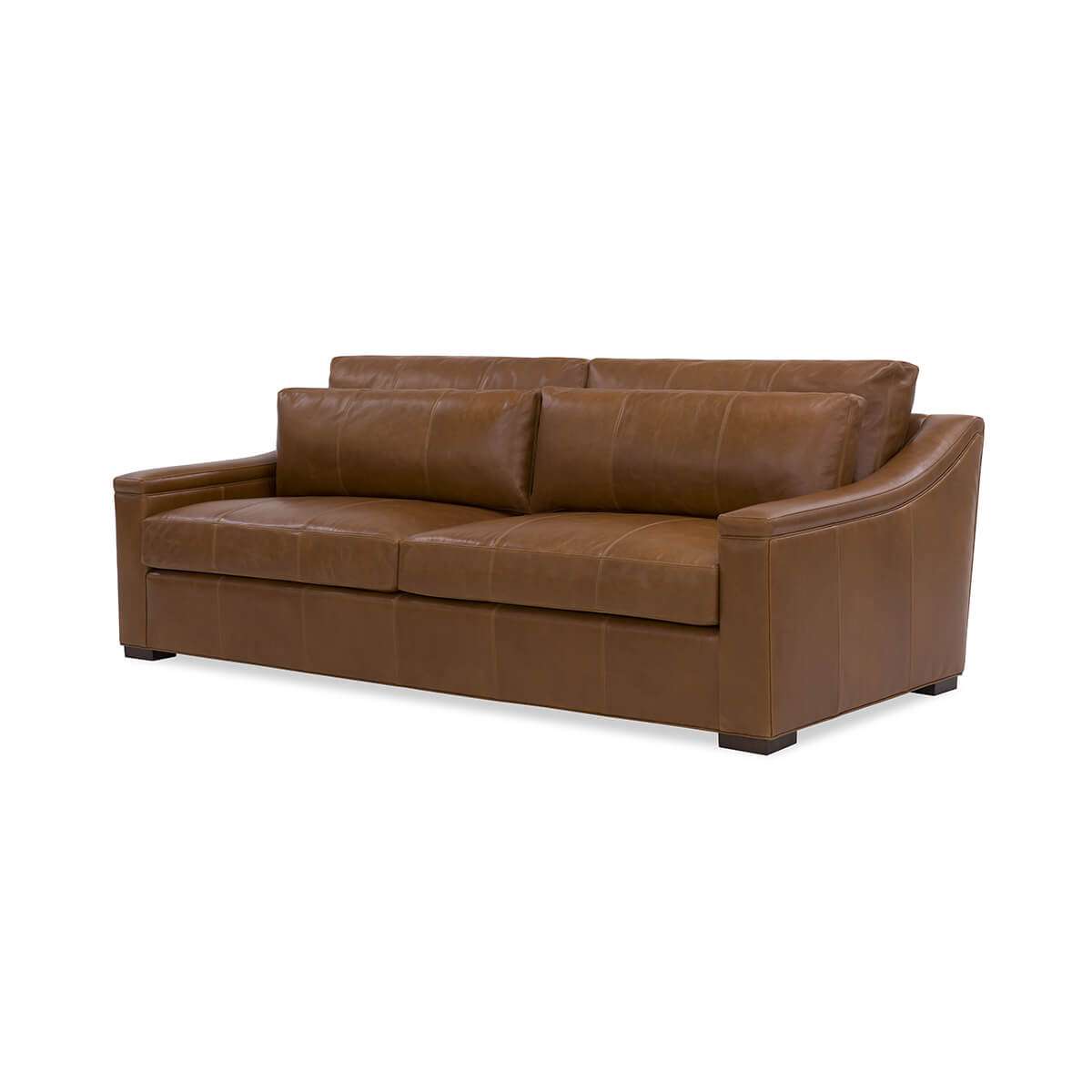 Brown leather sofa, front view, modern design.