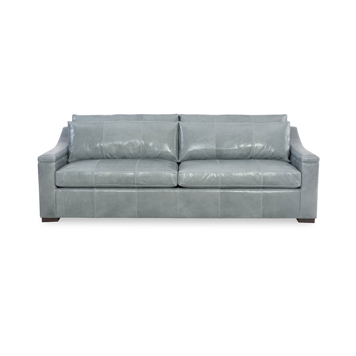 Gray leather sofa, front view, minimalist style.
