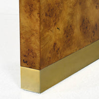 Corner close-up of modern burl wood console table.