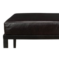 Close-up of leather cushion and iron frame detail.