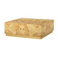 Light burl wood coffee table, square, front view.