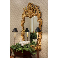 Rococo mirror reflecting lamps and plants in decor.