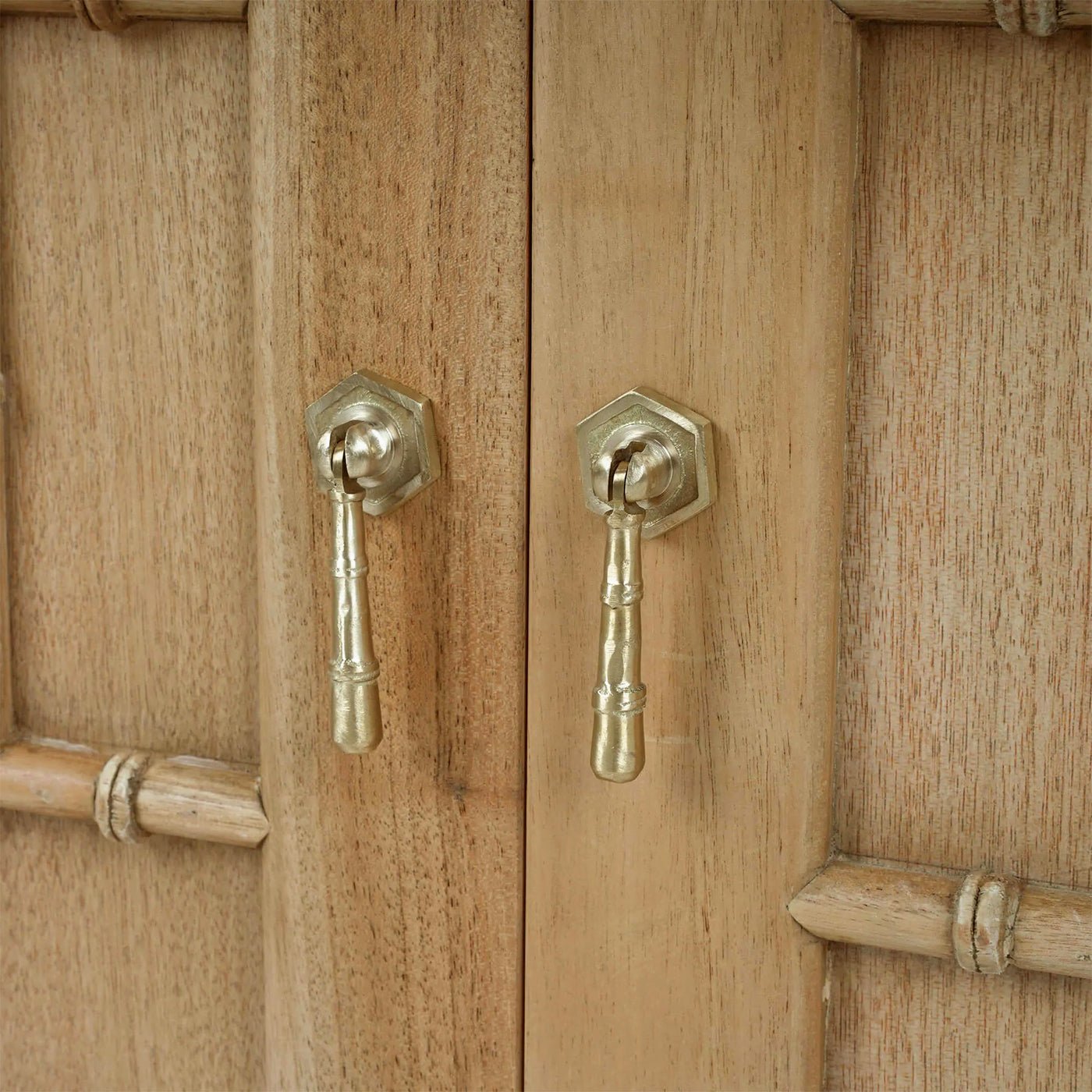 Close-up of cabinet door handles, brass finish detail.
