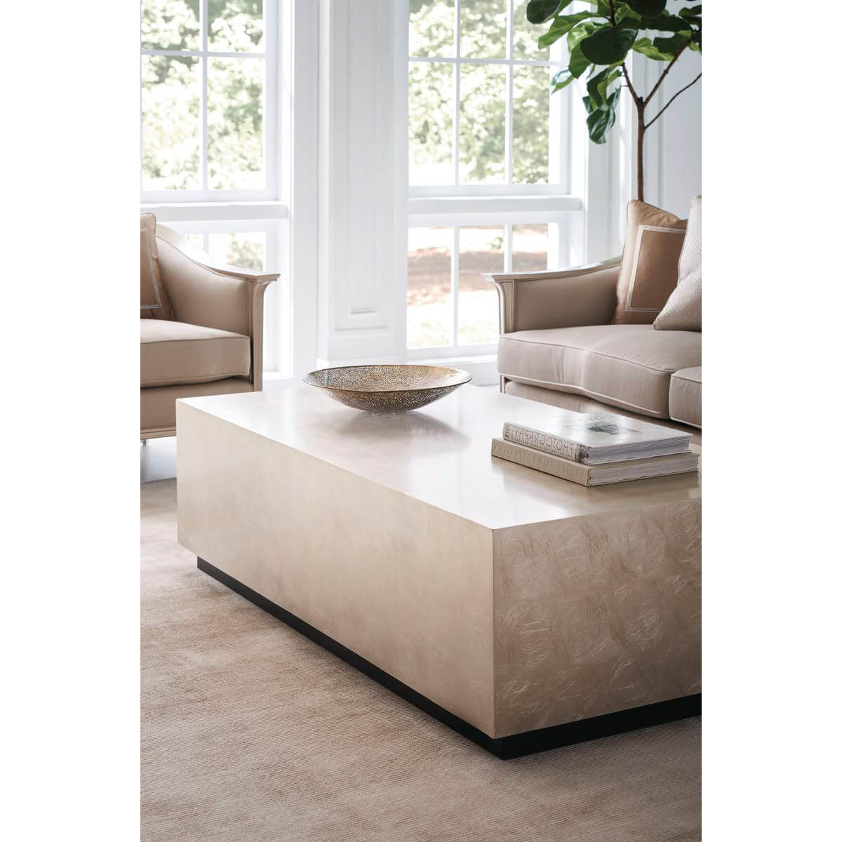 Coffee table with bowl and books near windows.