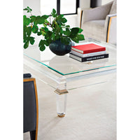 Square acrylic coffee table close-up with books and plant.