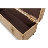 Interior detail of open vintage-style pearl leather trunk bench